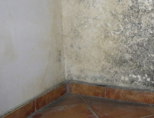Problemas de humedades en viviendas