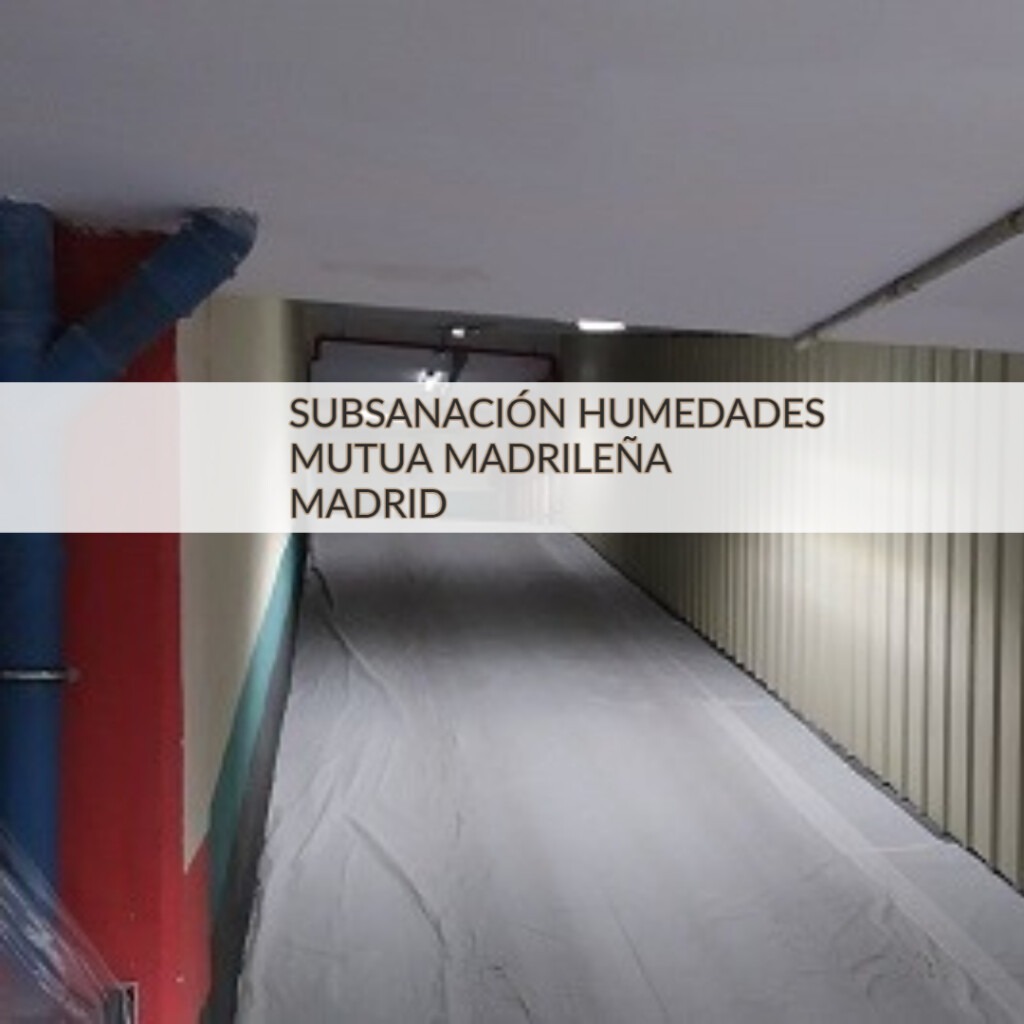 subsanación humedades Madrid 